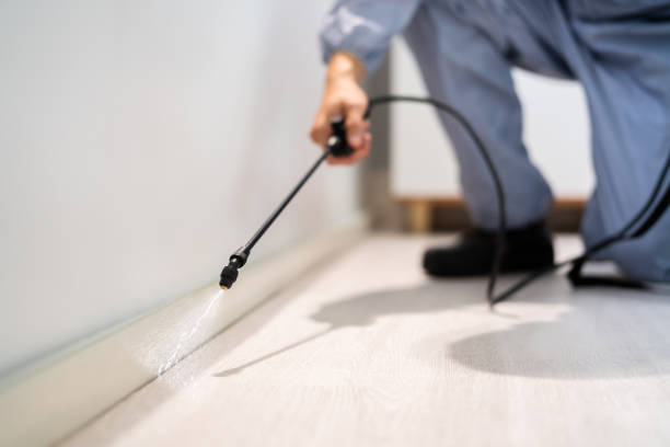 Licensed Termite Control service in Fairview, TX - Nex Pest Control