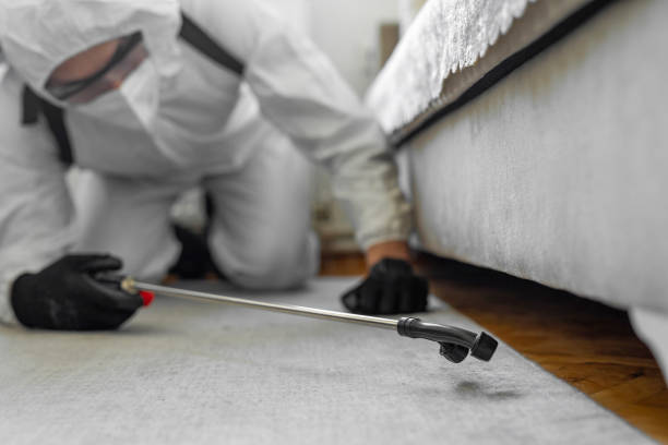 Professional Termite Control technician working in Fairview, TX