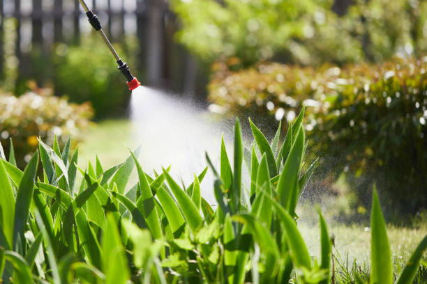 24/7 Emergency Termite Control experts in Fairview, TX